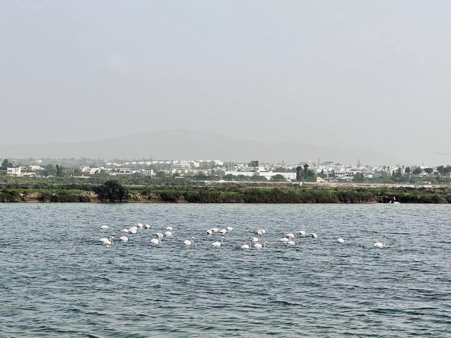 Olhao 3 Bedroom With Rooftop Pool, Marina Village المظهر الخارجي الصورة